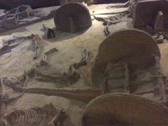 -洛阳周王城天子驾六博物馆