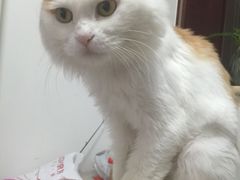 爱雅宝贝动物医院-中农大我爱我爱24h动物医院·中医针灸·猫专科·骨科医疗中心(双井店)