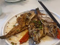 -五谷芳乳鸽王(梅沙老店)