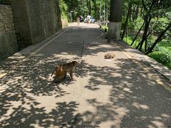 -黔灵山公园