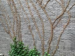 -也枫·小黄楼(南山路旗舰店)