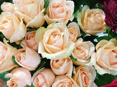 -森野花艺培训·企业团建活动沙龙