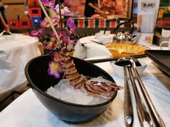 -鲜入围煮花胶鸡海鲜火锅