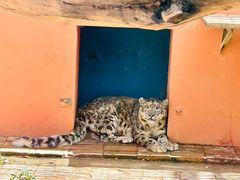 -青藏高原野生动物园