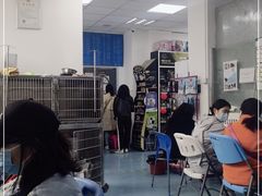 -北京赛佳动物医院