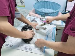 -纳吉亚猫专科动物医院博雅分院