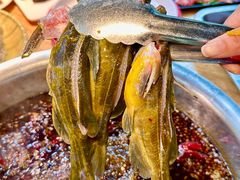-青山青豆花·笑禅豆腐鱼(黄泥塝店)