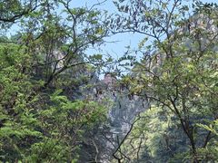 -泰山风景名胜区