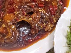 -林之六八·6886大连老菜馆