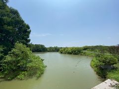 -上海海湾国家森林公园