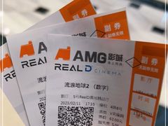 -AMG海上明珠影城(上海环球港RealDCinema店)