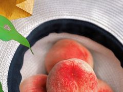 -老袁家蜜桃农场·阳山水蜜桃