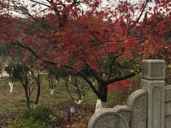 -白马涧龙池景区