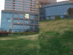 -山港凯悦酒店·咖啡厅