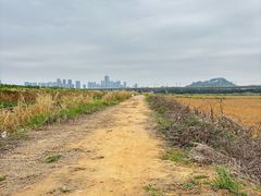 -光明小镇欢乐田园