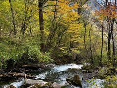 -叠溪松坪沟景区