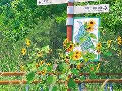 -东郊湿地公园