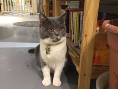 -小时光咖啡馆(开森度假森林店)