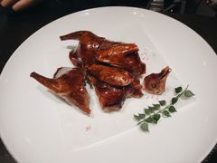 玻璃乳鸽-甄御•海鲜新青岛菜(麦岛店)