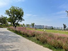 -汉长安城未央宫国家考古遗址公园