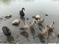 -河北村民俗体验园
