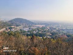 -上海佘山国家森林公园西佘山园