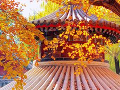 -颐和园