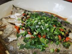 生焖鲈鱼-怡得观滇餐厅·地道昆明菜·1996(海埂大坝店)