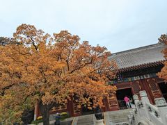 -香山公园