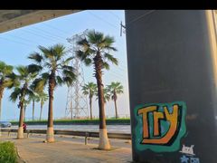 -宝安西湾红树林湿地公园