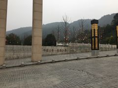 -铁山坪森林公园