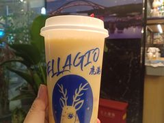 -鹿港小镇(金虹桥国际中心店)