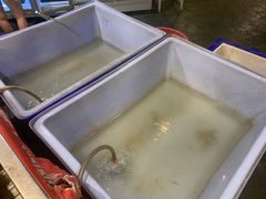 -芭提雅Amporn Seafood自助餐厅