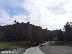 -武陵山森林公园