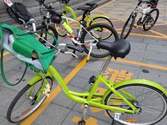 -白塘生态植物园