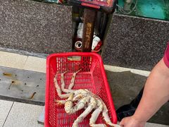 -蚝专家(北滘店)
