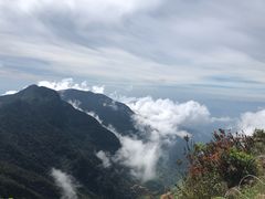 -霍顿平原国家公园