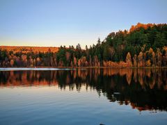 -五营红松林海景区