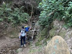 -羚羊峡古栈道森林公园