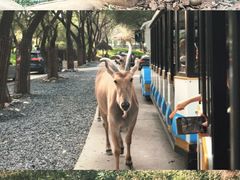 -北京野生动物园