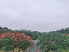 -云溪植物园