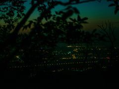-紫金山山顶公园