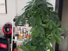 -N1 健身·拳击·综合馆(嘉美中心店)