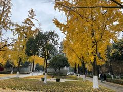 -成都中医药大学(温江校区)