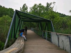-西湖风景区-江洋畈生态公园