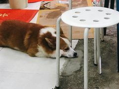 -小梁哥云吞面(黄贝岭店)