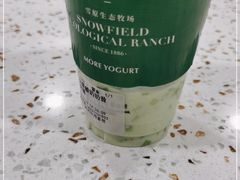 -茉酸奶(春熙路店)