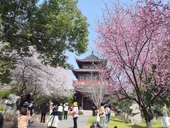 -堤角公园