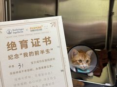 -瑞鹏宠物医院·夜间急症·心超·猫科(祖庙分店)