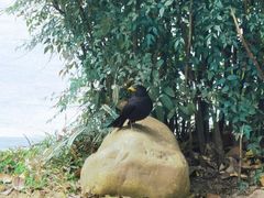 -人民公园(罗湖区)